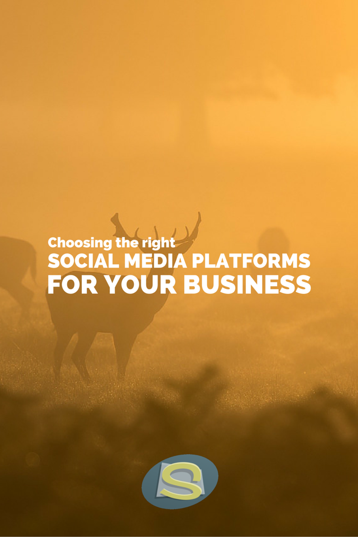 Choosing the right social media platforms for your business