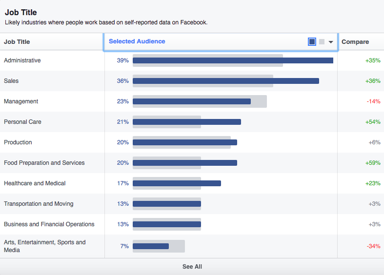 Facebook Audience Insights tool job title